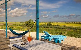 Danube Delta View